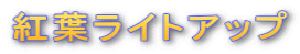 �g�t���C�g�A�b�v
