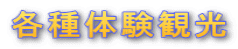 �e��̌��ό�