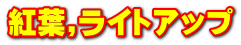 �g�t,���C�g�A�b�v